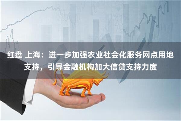 红盘 上海：进一步加强农业社会化服务网点用地支持，引导金融机构加大信贷支持力度