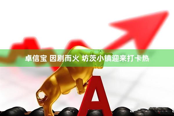 卓信宝 因剧而火 坊茨小镇迎来打卡热