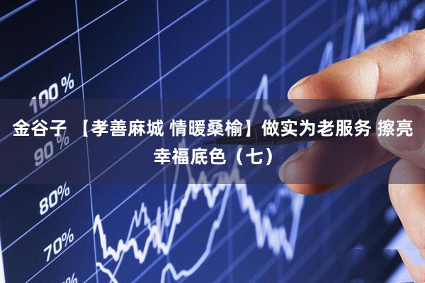 金谷子 【孝善麻城 情暖桑榆】做实为老服务 擦亮幸福底色（七）