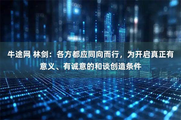 牛途网 林剑：各方都应同向而行，为开启真正有意义、有诚意的和谈创造条件
