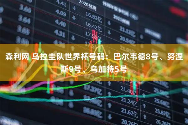森利网 乌拉圭队世界杯号码：巴尔韦德8号、努涅斯9号、乌加特5号